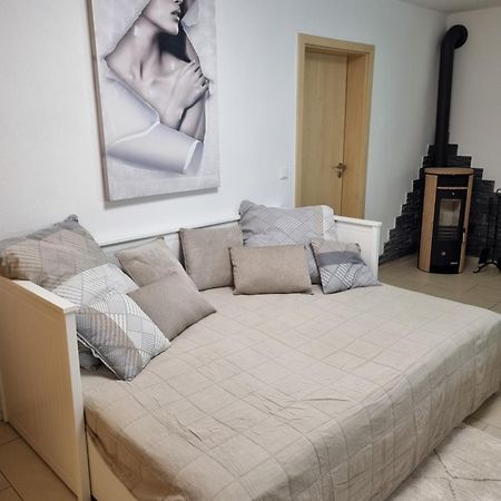 Appartment Im Untergeschoss 弗赖拉辛 外观 照片